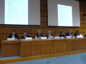 Panel Opening
